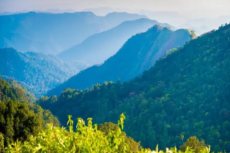 Best selling Kerala houseboat & safari tour package