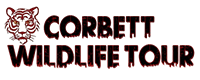 Corbett Wildlife Tour